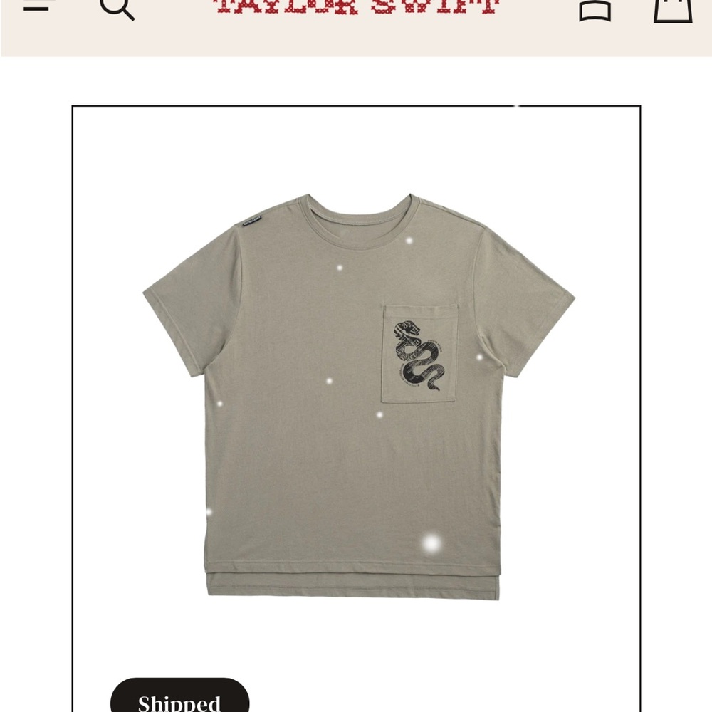 Taylor Swift reputation green pocket tour tee with snake design